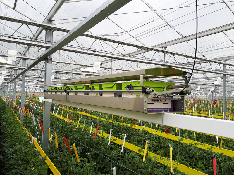 Standard Hummelkasten