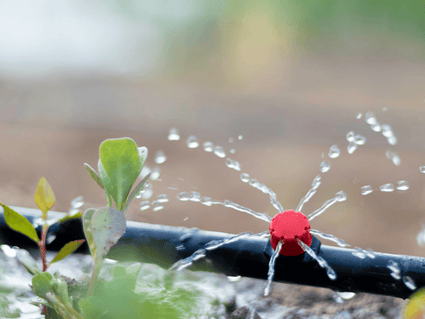Bewässerung, Düngung & Pflanzenernährung