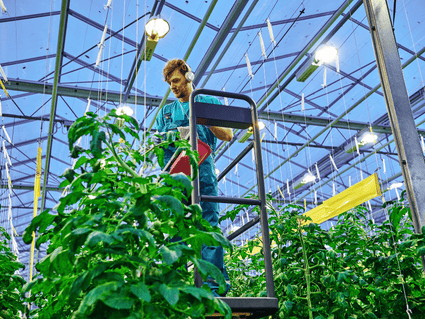 Technische Ausrüstung & Werkzeuge