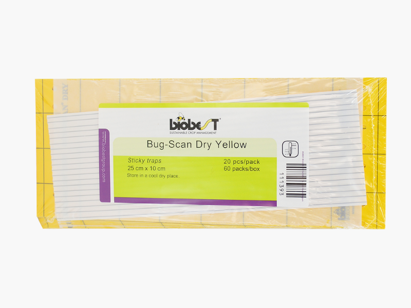 Bug-Scan® Rolls and Sticky Traps