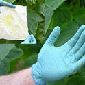 Person wearing a blue glove holding a piece of paper with a leaf sample, surrounded by green leaves.