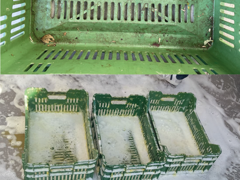 Green plastic crates with visible wear and tear on a textured surface