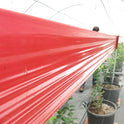 Red shade cloth over plants in a greenhouse setting
