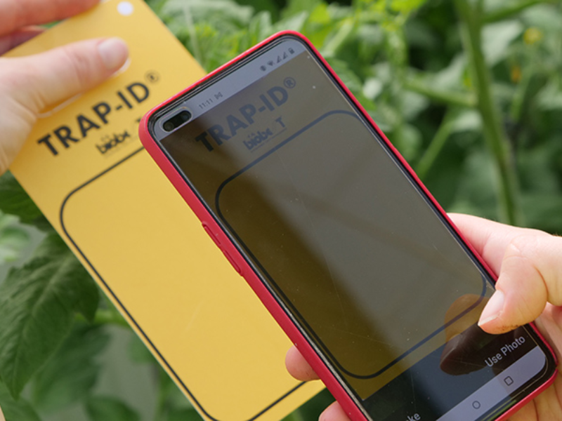 Person holding a smartphone with a red case against a blurred green background