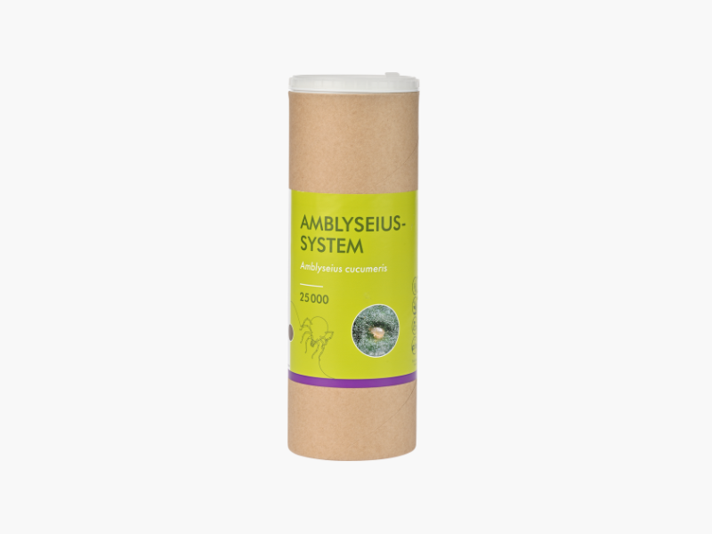 Amblyseius-System & Amblyseius-Breeding-System
