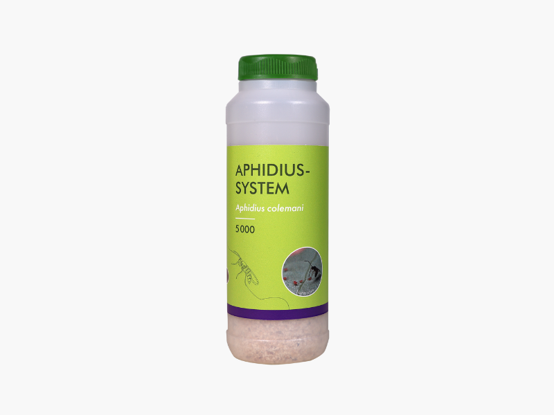 Packshot Aphidius-System 5000
